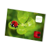 Wenskaart Postkaart Lieveheersbeestje- Brixies- Bouwsteentjes Wenskaart Postkaart Lieveheersbeestje- Brixies- Bouwsteentjes