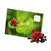 Wenskaart Postkaart Lieveheersbeestje- Brixies- Bouwsteentjes Wenskaart Postkaart Lieveheersbeestje- Brixies- Bouwsteentjes