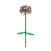 Bloem Roze Knoflook Allium Rosa- Brixies- nano-bouwsteentjes
