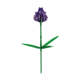 Bloem Zwartblauwe Rapunzel Phyteuma- Brixies- nano-bouwsteentjes
