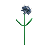 Bloem Lamsoor- Brixies- nano-bouwsteentjes