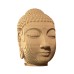 Buddha- karton