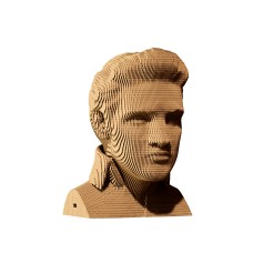 Elvis Presley- karton