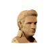 Elvis Presley- karton