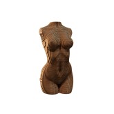 Torso Vrouw- karton