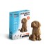 Labrador Puppy- karton