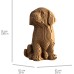 Labrador Puppy- karton