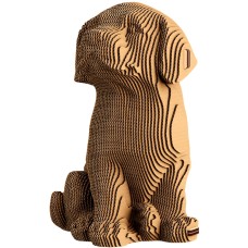 Labrador Puppy- karton
