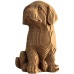 Labrador Puppy- karton