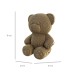 Teddybeer- karton