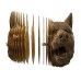 Wolf- karton