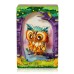 Bouwpakket 3D Theater Uil- Gekleurd Bouwpakket 3D Theater Uil- Gekleurd