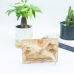 Bouwpakket 3D Theater Pterosaurus- hout Bouwpakket 3D Theater Pterosaurus- hout