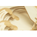 Bouwpakket 3D Theater Pterosaurus- hout Bouwpakket 3D Theater Pterosaurus- hout